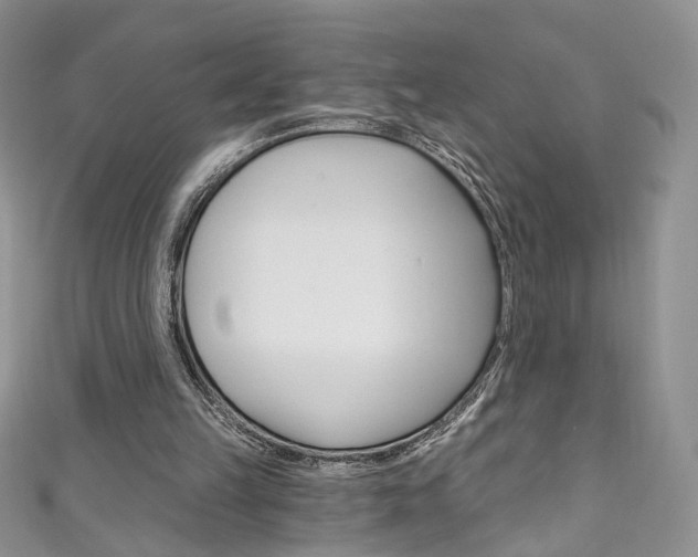 X0000111160149200906301105
