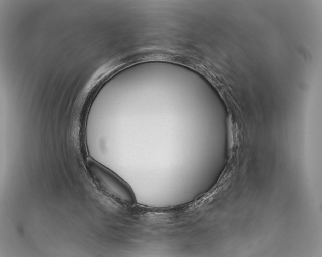 X0000111160150200906301105