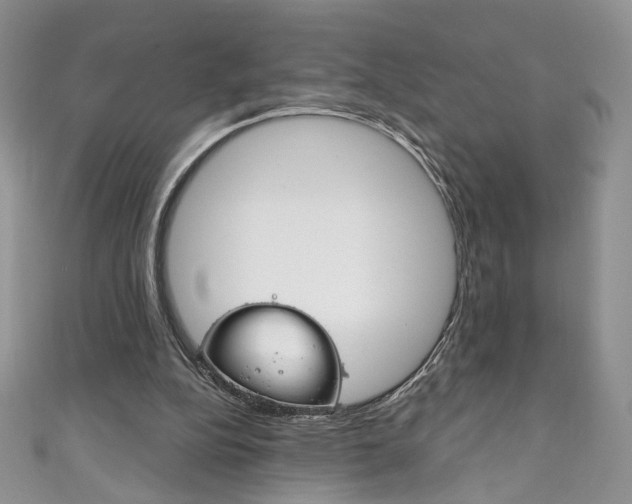 X0000111160152200906301105