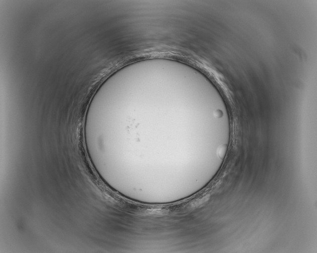 X0000111160153200906301105