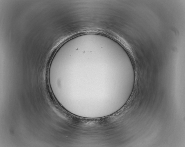 X0000111160155200906301105