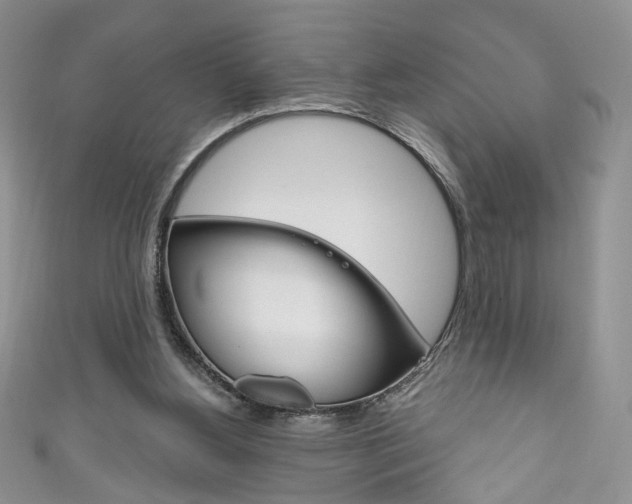 X0000111160156200906301105