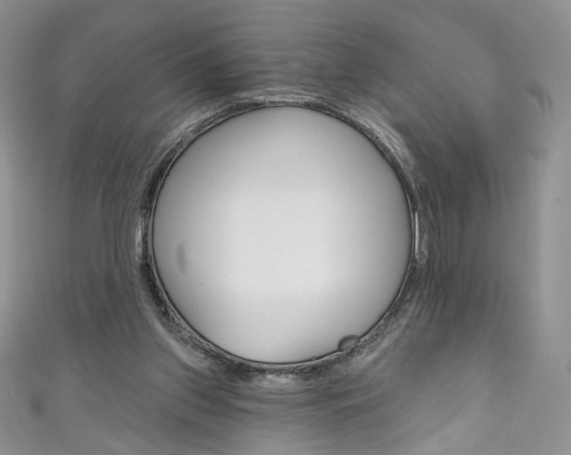 X0000111160157200906301105