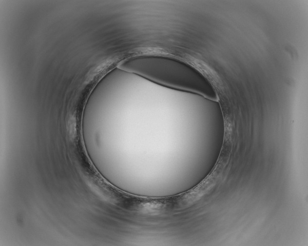 X0000111160158200906301105