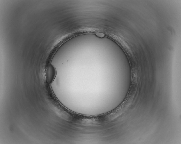X0000111160160200906301105