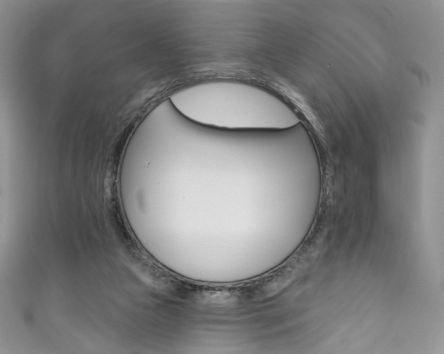 X0000111160161200906301105