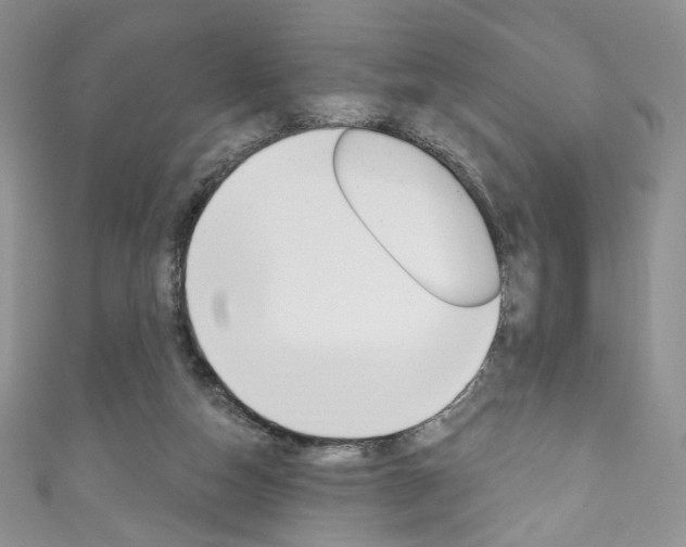 X0000111160162200906301105