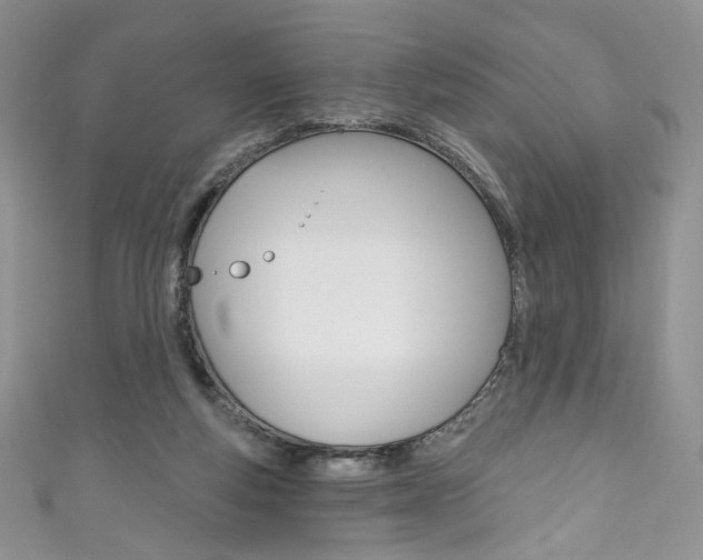 X0000111160163200906301105
