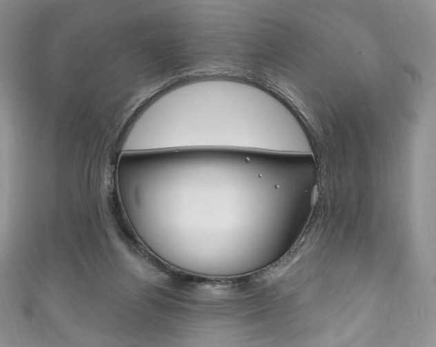X0000111160164200906301105