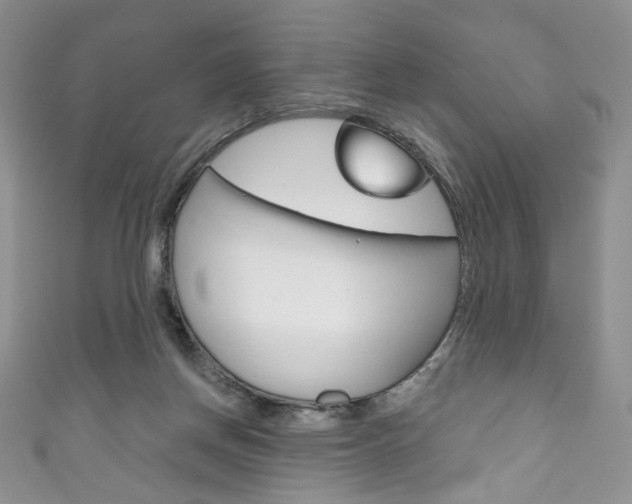 X0000111160166200906301105