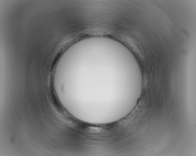 X0000111160167200906301105