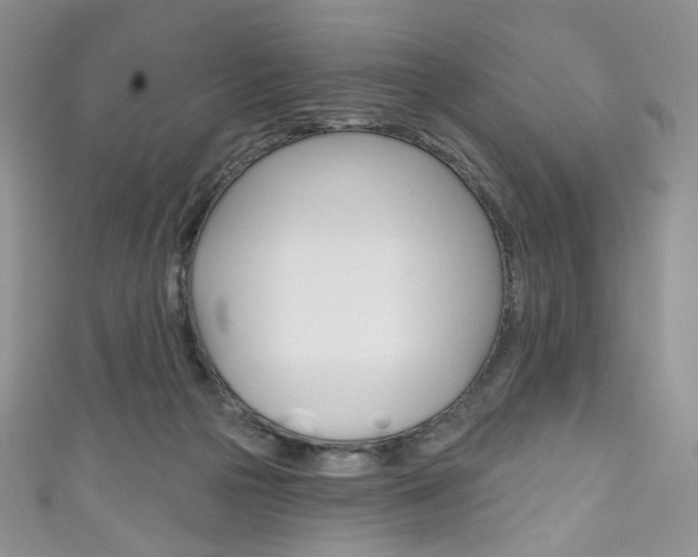 X0000111160169200906301105