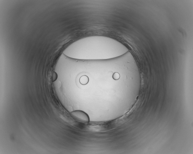 X0000111160171200906301105