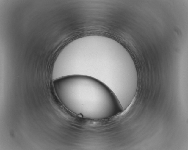 X0000111160174200906301105