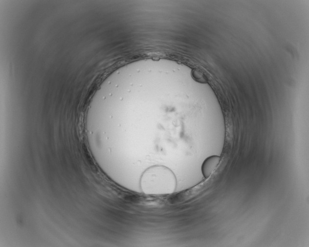 X0000111160175200906301105