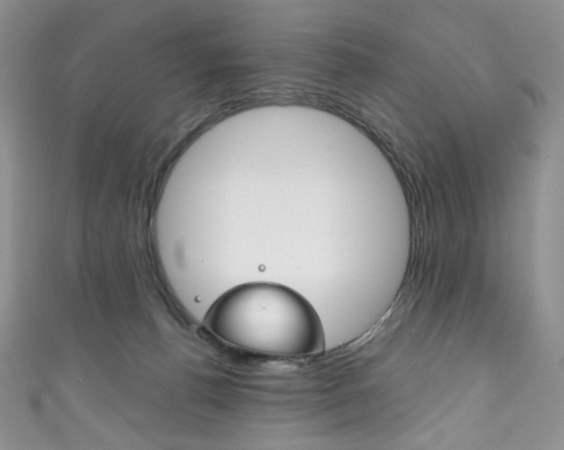 X0000111160176200906301105
