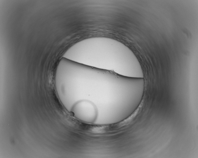 X0000111160178200906301105