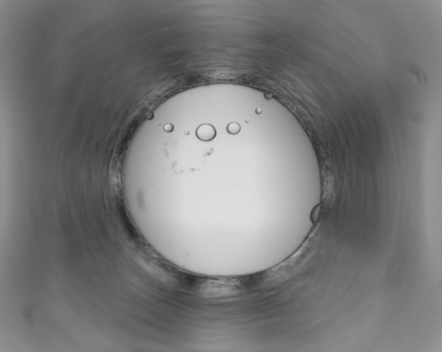 X0000111160179200906301105
