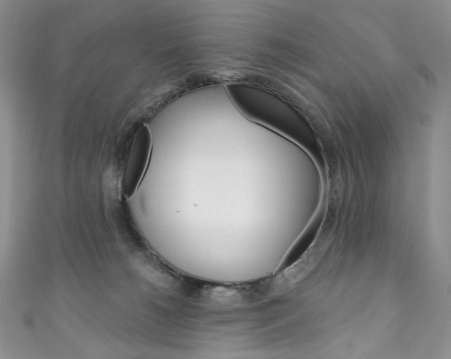 X0000111160180200906301105