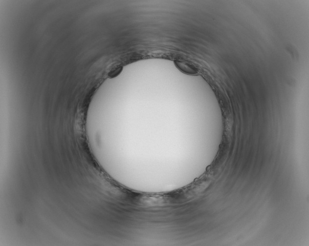 X0000111160181200906301105