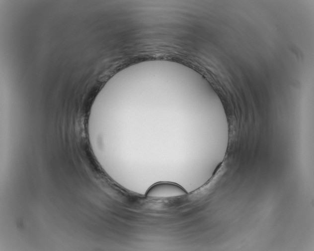 X0000111160182200906301105