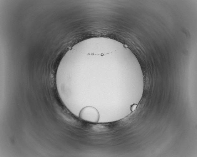 X0000111160183200906301105