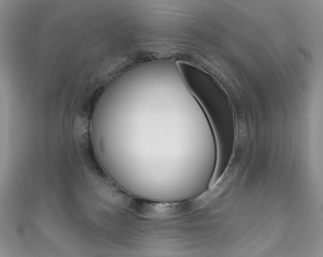 X0000111160184200906301105