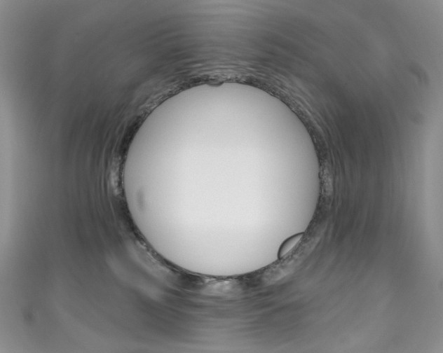 X0000111160185200906301105