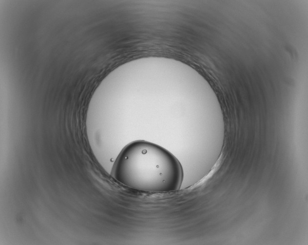 X0000111160186200906301105