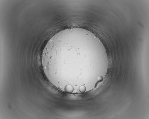 X0000111160187200906301105