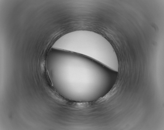 X0000111160188200906301105