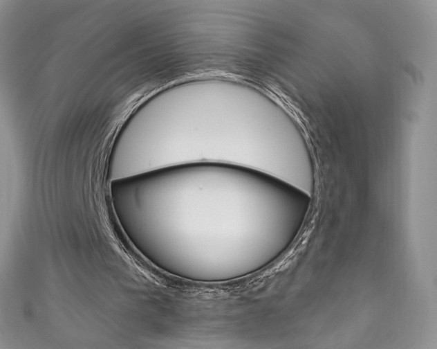 X0000111160193200906301105