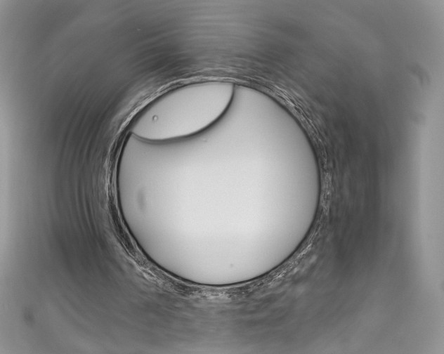 X0000111160194200906301105