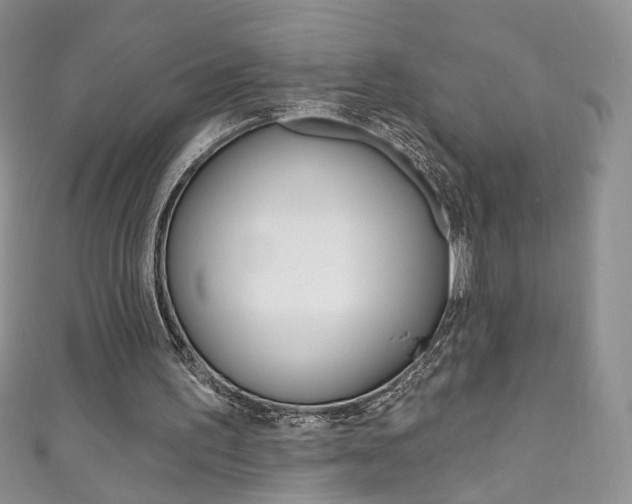 X0000111160195200906301105