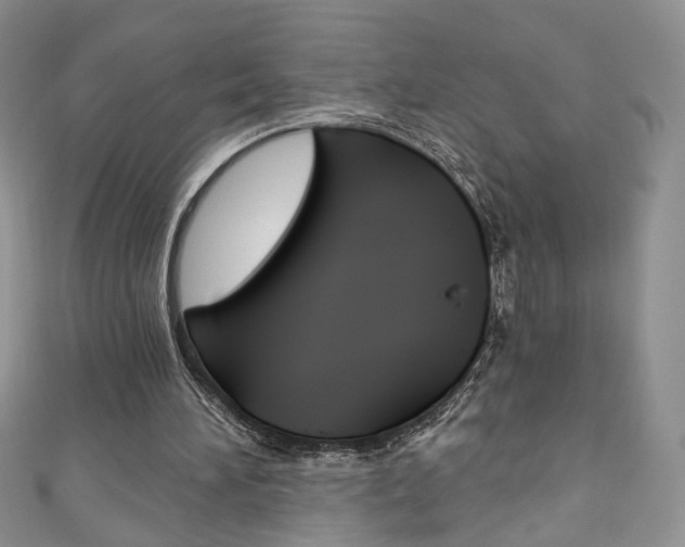 X0000111160196200906301105