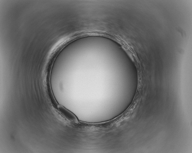 X0000111160197200906301105