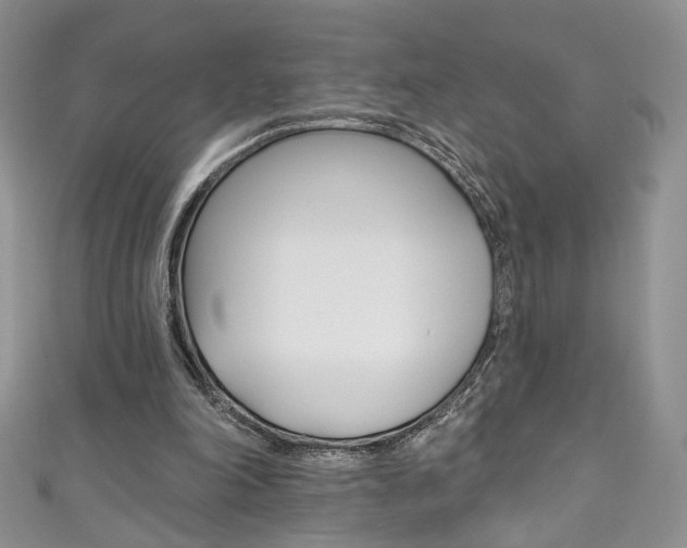 X0000111160198200906301105