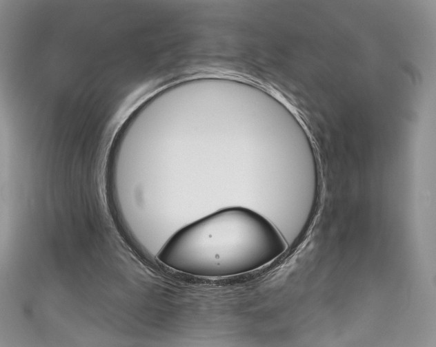 X0000111160199200906301105