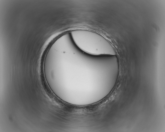 X0000111160200200906301105