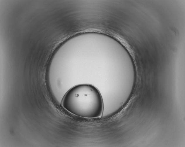 X0000111160201200906301105