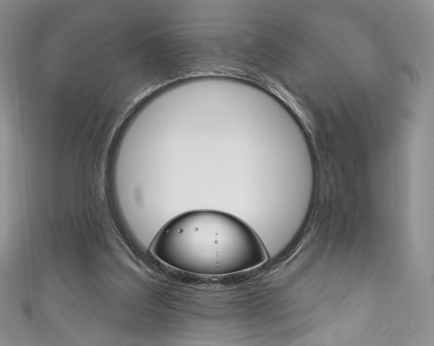 X0000111160203200906301105