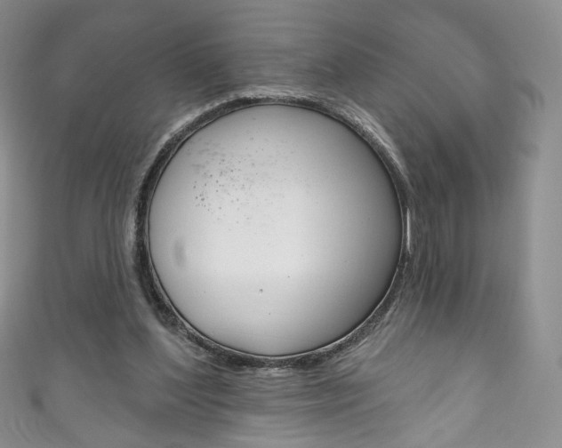 X0000111160204200906301105