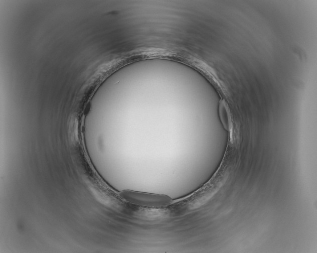 X0000111160205200906301105