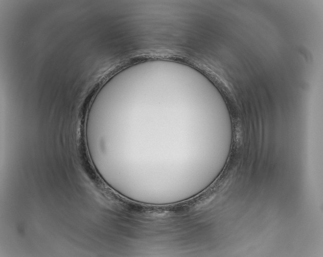 X0000111160206200906301105