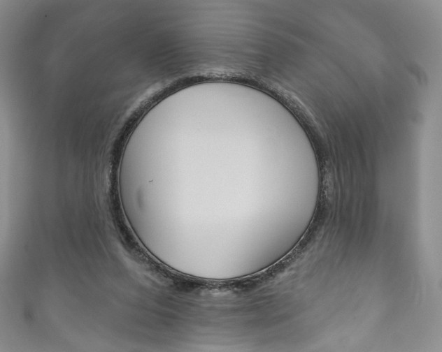 X0000111160208200906301105