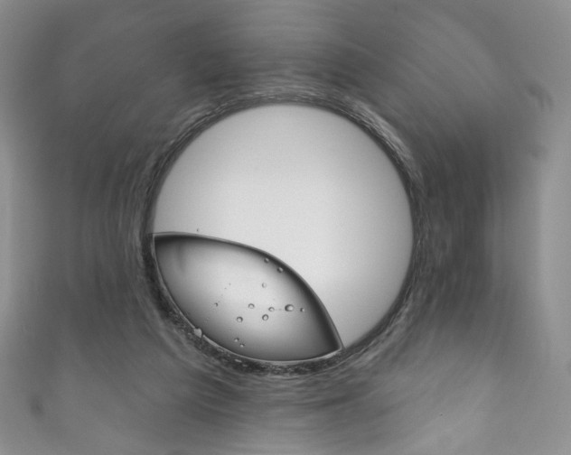 X0000111160209200906301105