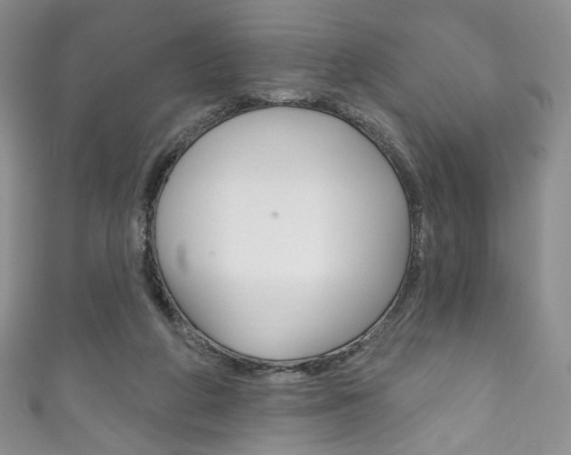 X0000111160210200906301105