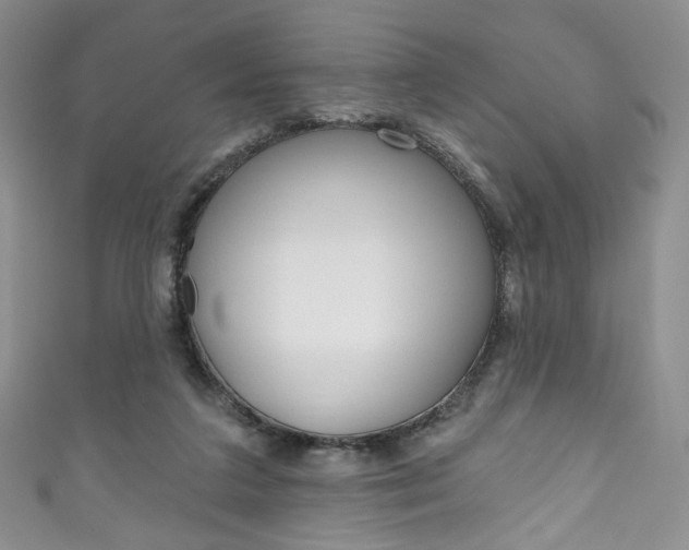 X0000111160211200906301105