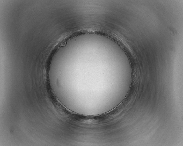 X0000111160212200906301105