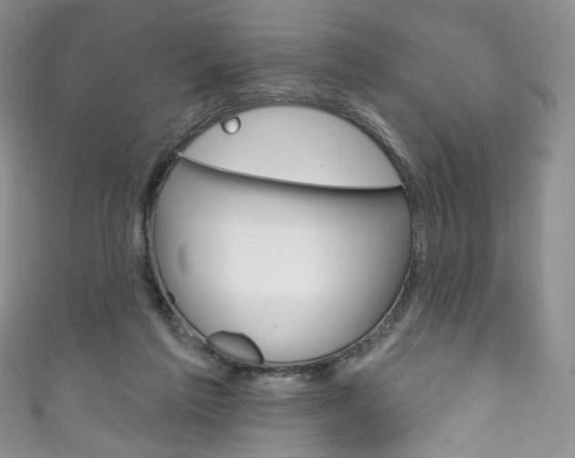 X0000111160213200906301105